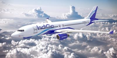 IndiGo Rewards Crew with 5% Bonus After Soaring ₹3,067 Cr Q4 Profit